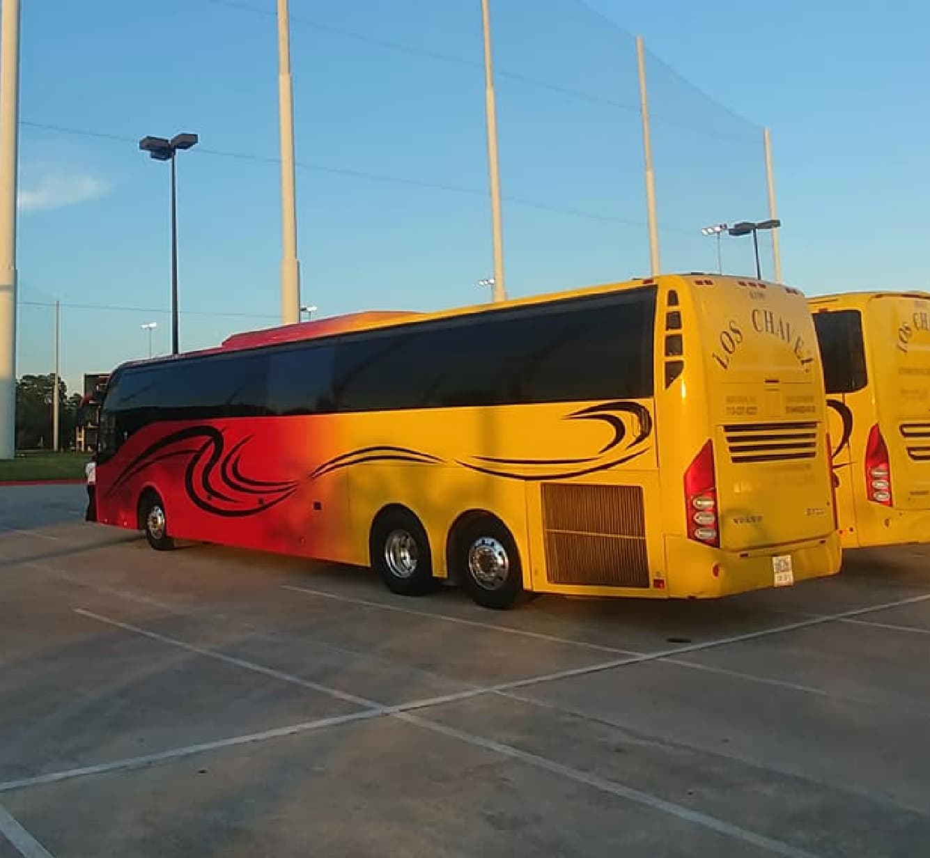 bus